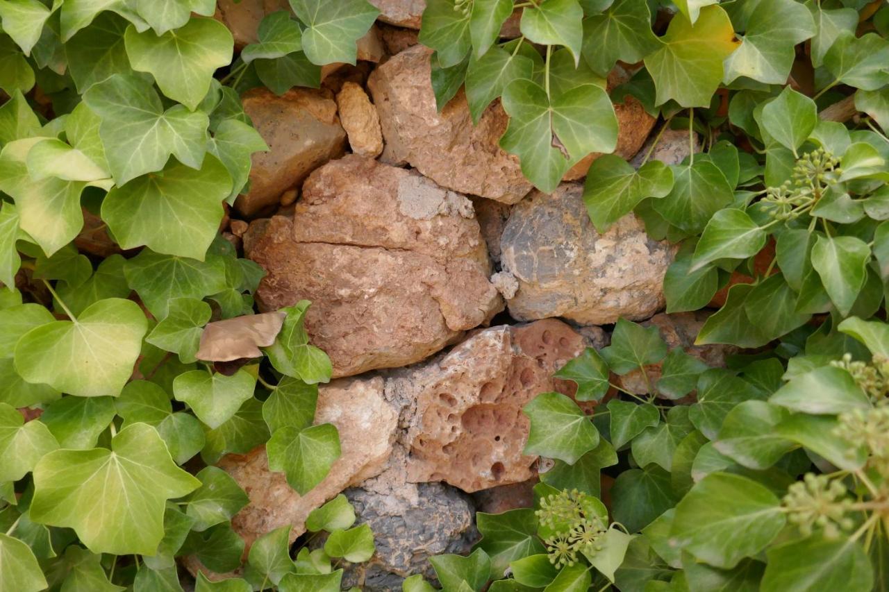 La Casa De Piedra, Una Ventana Al Paraiso Matet Ngoại thất bức ảnh